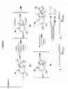 Fig. 07 - Substituted glucosepanes and compositions thereof