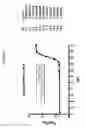 Fig. 09 - Substituted glucosepanes and compositions thereof