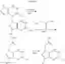 Fig. 79 - ALKYNE COMPOUNDS FOR TREATMENT OF COMPLEMENT MEDIATED DISORDERS