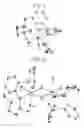 Fig. 02 - Phosphacycle compound and process for production thereof