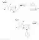 Fig. 100 - Aziridine spinosyn derivatives and methods of making