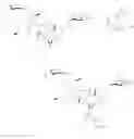 Fig. 102 - Aziridine spinosyn derivatives and methods of making