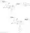 Fig. 67 - Aziridine spinosyn derivatives and methods of making