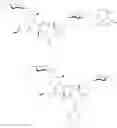 Fig. 74 - Aziridine spinosyn derivatives and methods of making