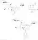 Fig. 76 - Aziridine spinosyn derivatives and methods of making
