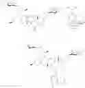 Fig. 77 - Aziridine spinosyn derivatives and methods of making
