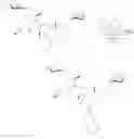 Fig. 80 - Aziridine spinosyn derivatives and methods of making