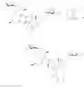 Fig. 96 - Aziridine spinosyn derivatives and methods of making