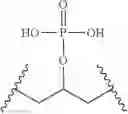 Fig. 22 - Phosphate replacement MRNA cap analogs