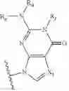 Fig. 76 - Phosphate replacement MRNA cap analogs