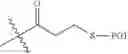 Fig. 22 - One-bead-two-compound macrocyclic library and methods of preparation and use