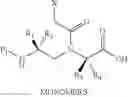 Fig. 11 - Conformationally-preorganized, miniPEG-containing gamma-peptide nucleic acids