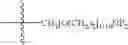 Fig. 14 - Conformationally-preorganized, miniPEG-containing gamma-peptide nucleic acids