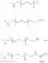 Fig. 23 - Conformationally-preorganized, miniPEG-containing gamma-peptide nucleic acids