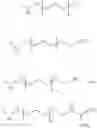 Fig. 24 - Conformationally-preorganized, miniPEG-containing gamma-peptide nucleic acids
