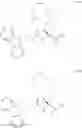 Fig. 35 - Conformationally-preorganized, miniPEG-containing gamma-peptide nucleic acids