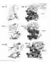 Fig. 09 - Cystine knot scaffold platform