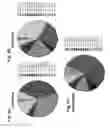 Fig. 07 - Antigens and T cell epitopes from cockroach and methods of making and using same