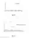 Fig. 04 - Insulins with polar recombinant extensions