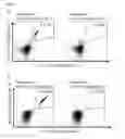 Fig. 28 - Peptides and combination of peptides for use in immunotherapy against leukemias and other cancers