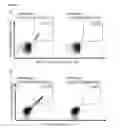 Fig. 32 - Peptides and combination of peptides for use in immunotherapy against leukemias and other cancers
