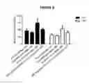 Fig. 07 - Compositions Comprising D-Amino Acid Peptides and Methods of Production and Use Thereof for Inhibiting Autoantibodies