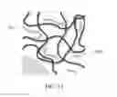 Fig. 13 - Functionalized resin having a polar linker