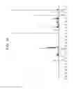 Fig. 32 - Functionalized resin having a polar linker