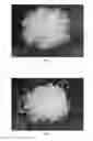 Fig. 02 - Polymer blend in granular form and process for making same