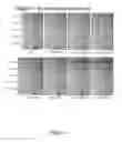 Fig. 07 - Compositions, Systems, Methods and Devices for Utilizing Microorganisms in Print
