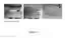 Fig. 05 - Yeast-based adhesive extract, composition and method