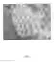 Fig. 02 - Use of crosslinked polymer system for mitigation of annular pressure buildup