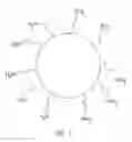 Fig. 02 - Polyamino-functionalized nanoparticles as hardeners for particulate consolidation
