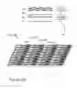 Fig. 09 - Rhodamine based salts