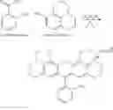 Fig. 66 - Rhodamine based salts