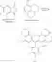 Fig. 71 - Rhodamine based salts