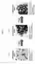 Fig. 02 - MANUFACTURING METHOD OF QUANTUM DOT