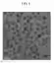 Fig. 06 - MANUFACTURING METHOD OF QUANTUM DOT