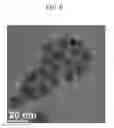 Fig. 07 - MANUFACTURING METHOD OF QUANTUM DOT