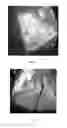 Fig. 06 - SLOW-BURNING LOG