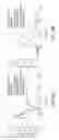 Fig. 19 - Multiwell Culture Devices with Perfusion and Oxygen Control