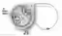 Fig. 01 - BIOMIMETIC AMNIOTIC MEMBRANE NICHE FOR STEM CELLS