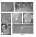 Fig. 04 - BIOMIMETIC AMNIOTIC MEMBRANE NICHE FOR STEM CELLS