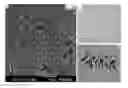 Fig. 05 - BIOMIMETIC AMNIOTIC MEMBRANE NICHE FOR STEM CELLS