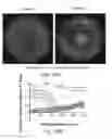 Fig. 14 - Microdevice platform recapitulating hypoxic tissue microenvironments