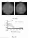 Fig. 15 - Microdevice platform recapitulating hypoxic tissue microenvironments