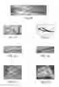 Fig. 03 - Tissue-engineered constructs