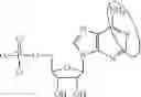 Fig. 102 - MODIFIED POLYNUCLEOTIDES FOR ALTERING CELL PHENOTYPE
