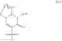 Fig. 116 - MODIFIED POLYNUCLEOTIDES FOR ALTERING CELL PHENOTYPE