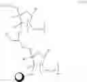 Fig. 126 - MODIFIED POLYNUCLEOTIDES FOR ALTERING CELL PHENOTYPE